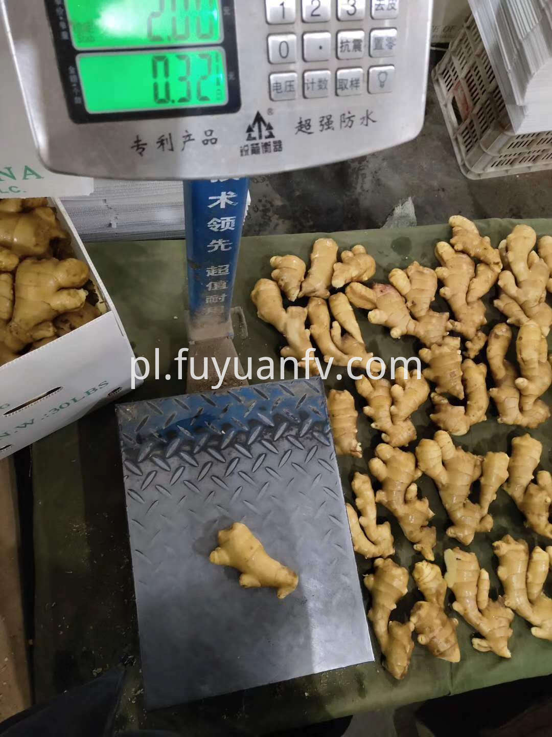 air dried ginger 